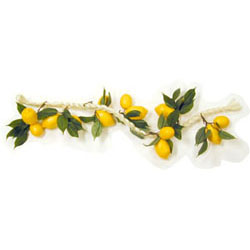 Plastic Lemons on a Rope